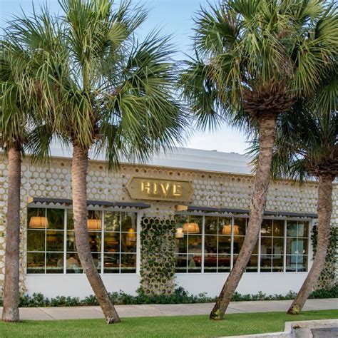 hive restaurant west palm beach